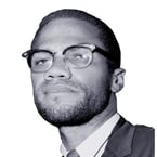 ম্যালক্লম এক্স