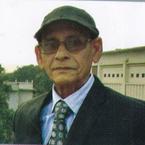 মোহাম্মদ হাসানুল আলম