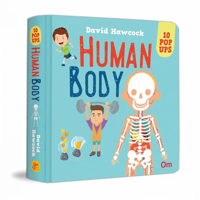 Pop Up Human Body