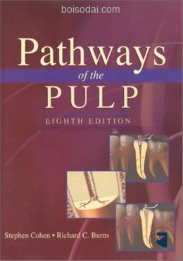 Pathways Of The Pulp