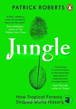 Jungle