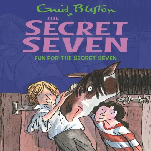 Fun for the Secret Seven: 15 (The Secret Seven Series) Paperback