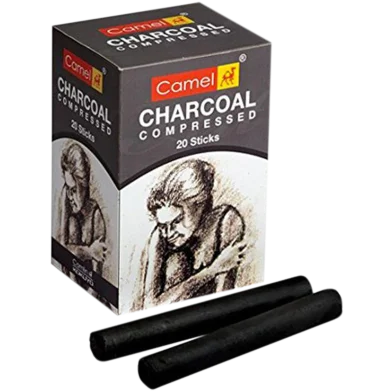 Camlin কমপ্রেসড চারকোল 20 স্টিক