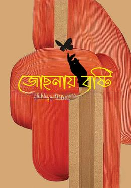 জোছনায় বৃষ্টি