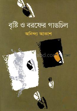 বৃষ্টি ও বরফের গাঙচিল