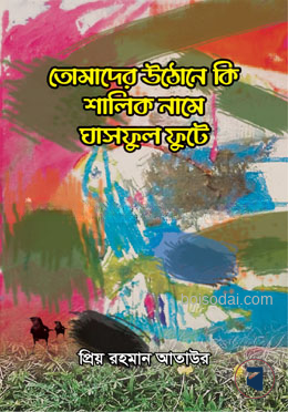 তোমাদের উঠোনে কি শালিক নামে ঘাসফুল ফুটে — ছবি 2