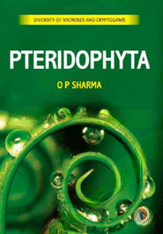 Pteridophyta