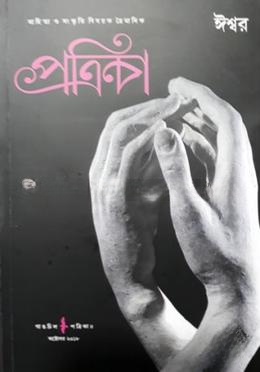 গাঙচিল পত্রিকা