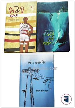 ৩ টি উপন্যাস