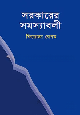 সরকারের সমস্যাবলী