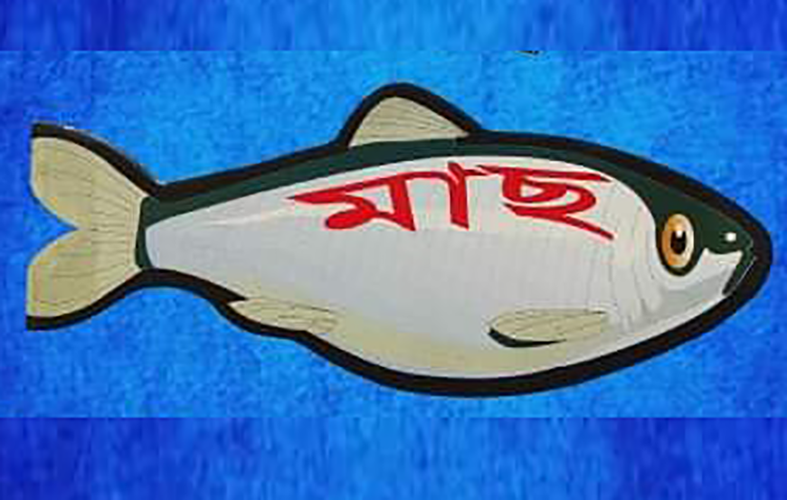 মাছ