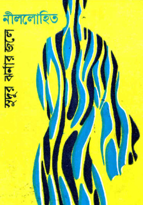 সুদূর ঝর্নার জলে