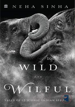 Wild And Wilful