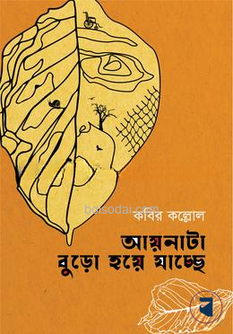 আয়নাটা বুড়ো হয়ে যাচ্ছে