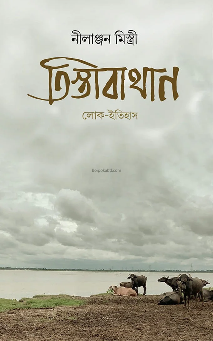 তিস্তাবাথান - নীলাঞ্জন মিস্ত্রি
