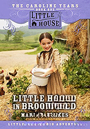 Little House in Brookfield