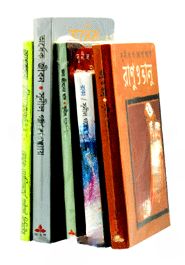 সুনীল গঙ্গোপাধ্যায় এর ৫টি পাঠকপ্রিয় উপন্যাস