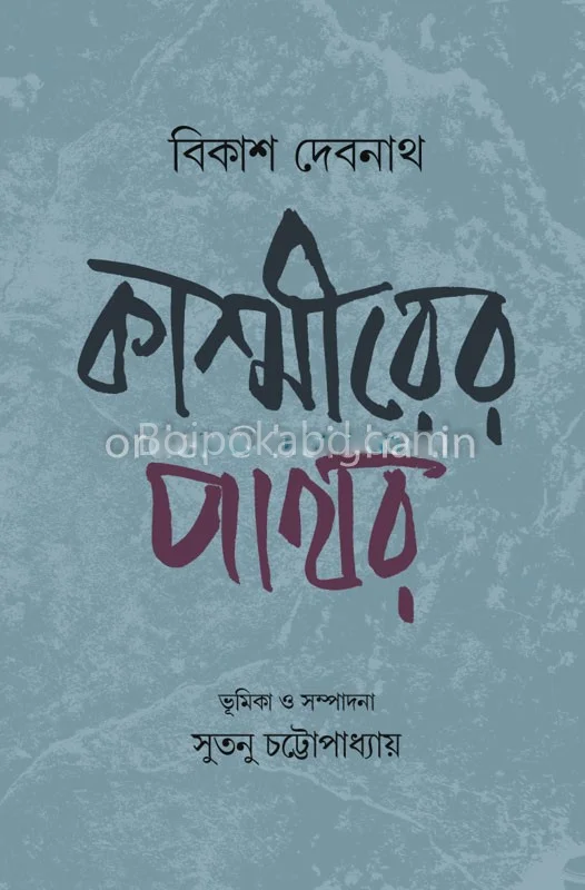 কাশ্মীরের পাথর - বিকাশ দেবনাথ