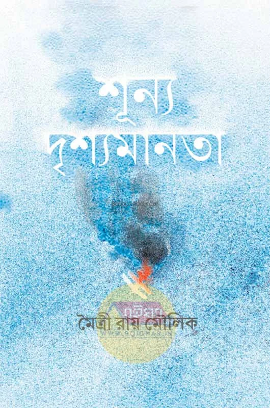 শূন্য দৃশ্যমানতা - মাইত্রী রায় মৌলিক