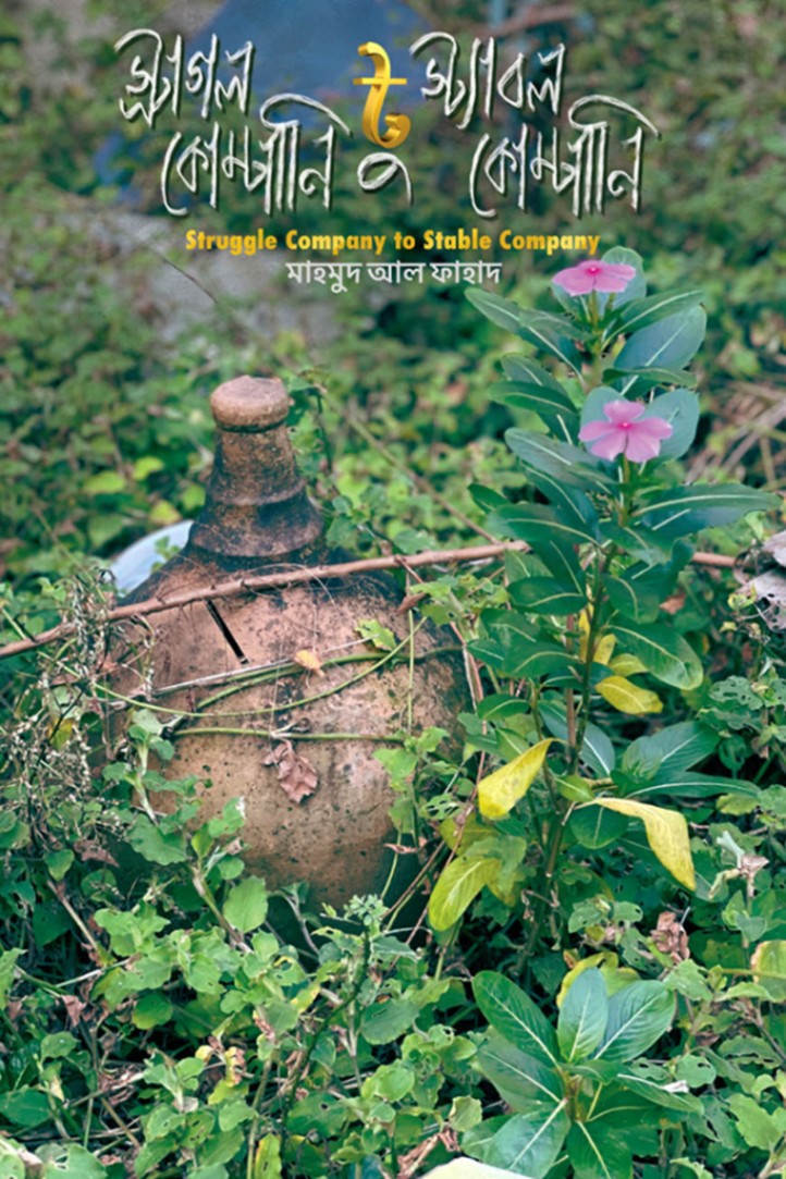 স্ট্রাগল কোম্পানি টু স্ট্যাবল কোম্পানি