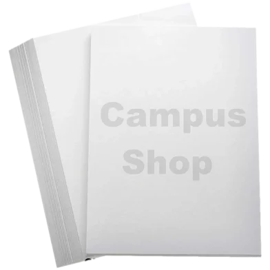Campus Shop 810 ইঞ্চি কার্টিজ আর্ট শিট ওয়াটার কালার ড্রয়িং পেপার 20 পিস