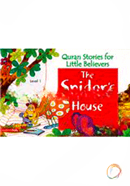 The Spiders House