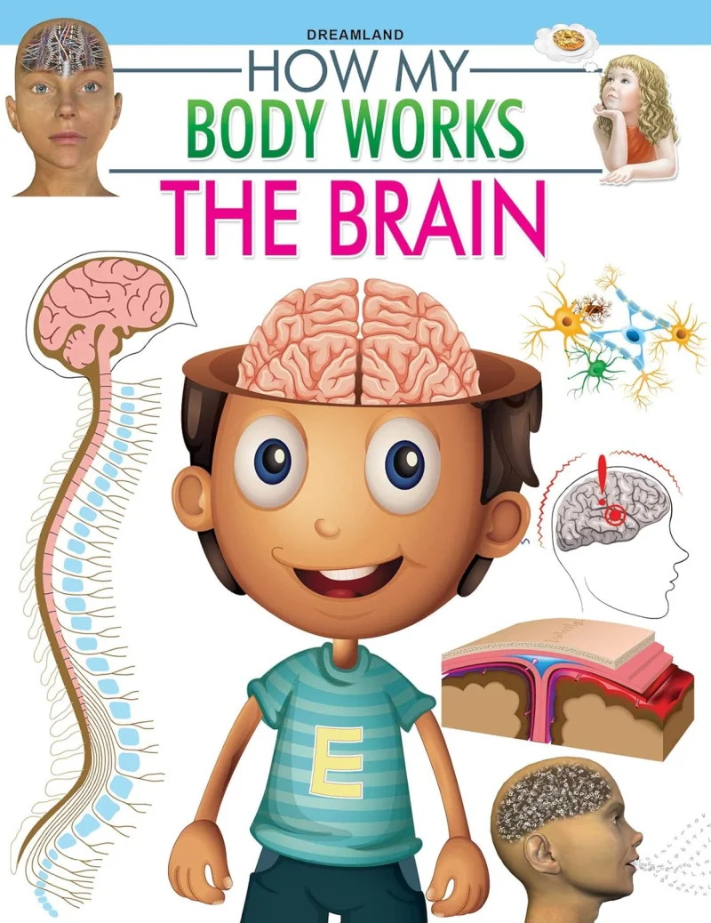 The Brain