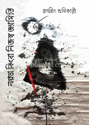 নগ্নতা কিংবা নিজস্সো জ্যামিতি - রণজিৎ অধিকারী