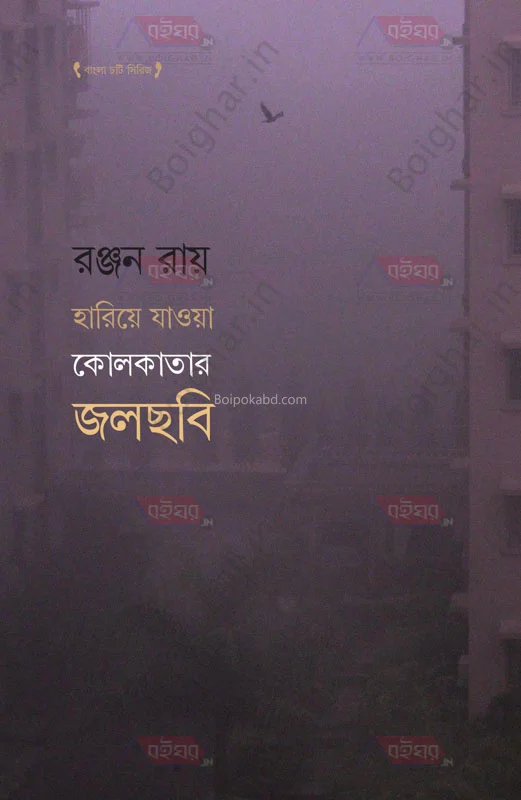 হারিয়ে যাওয়া কলকাতার জলছবি - রঞ্জন রায়