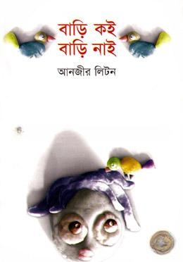 বাড়ি কই বাড়ি নাই