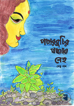 পাথরকুচির পাথর নেই