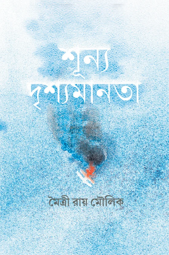 শূন্য দৃশ্যমানতা - মৈত্রী রায় মৌলিক