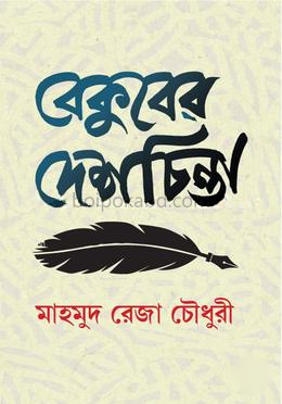বেকুবের দেশচিন্তা