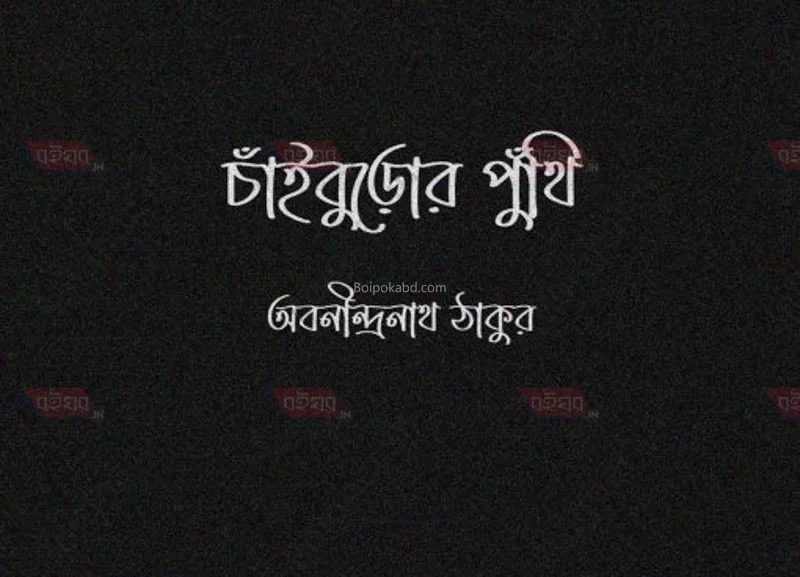 ছাইবুড়োর পুঁথি - অবনীন্দ্রনাথ তাগোরে