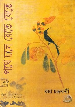 পথে চলে যেতে যেতে