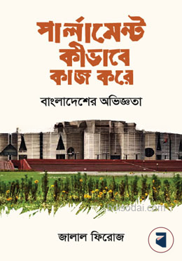 পার্লামেন্ট কীভাবে কাজ করে