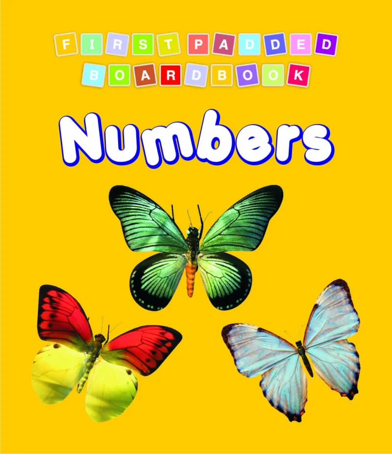 FIRST PADDED BB – NUMBERS