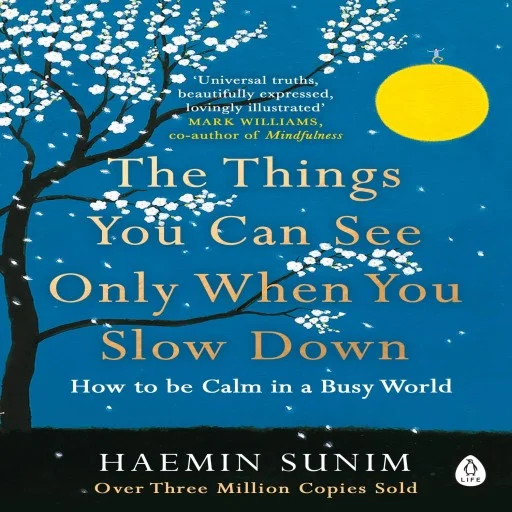 The Things You Can See Only When You Slow Down: How to be Calm in a Busy World Paperback