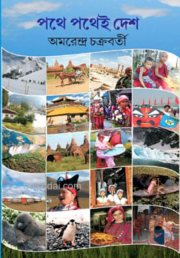 পথে পথেই দেশ