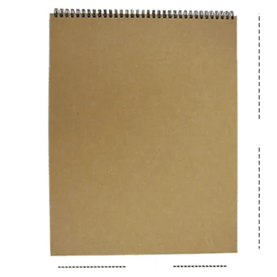 স্কেচবুক A3 (10.9 x 15 ইঞ্চি)