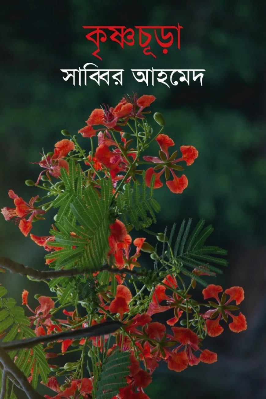 কৃষ্ণচূড়া