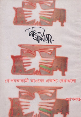 গোপনতাকামী আগুনের অনিবার্য রেখাগুলো