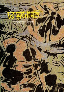 চর মেঘনামতী