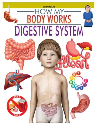 Digestive System