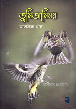 তুমি আমিময়