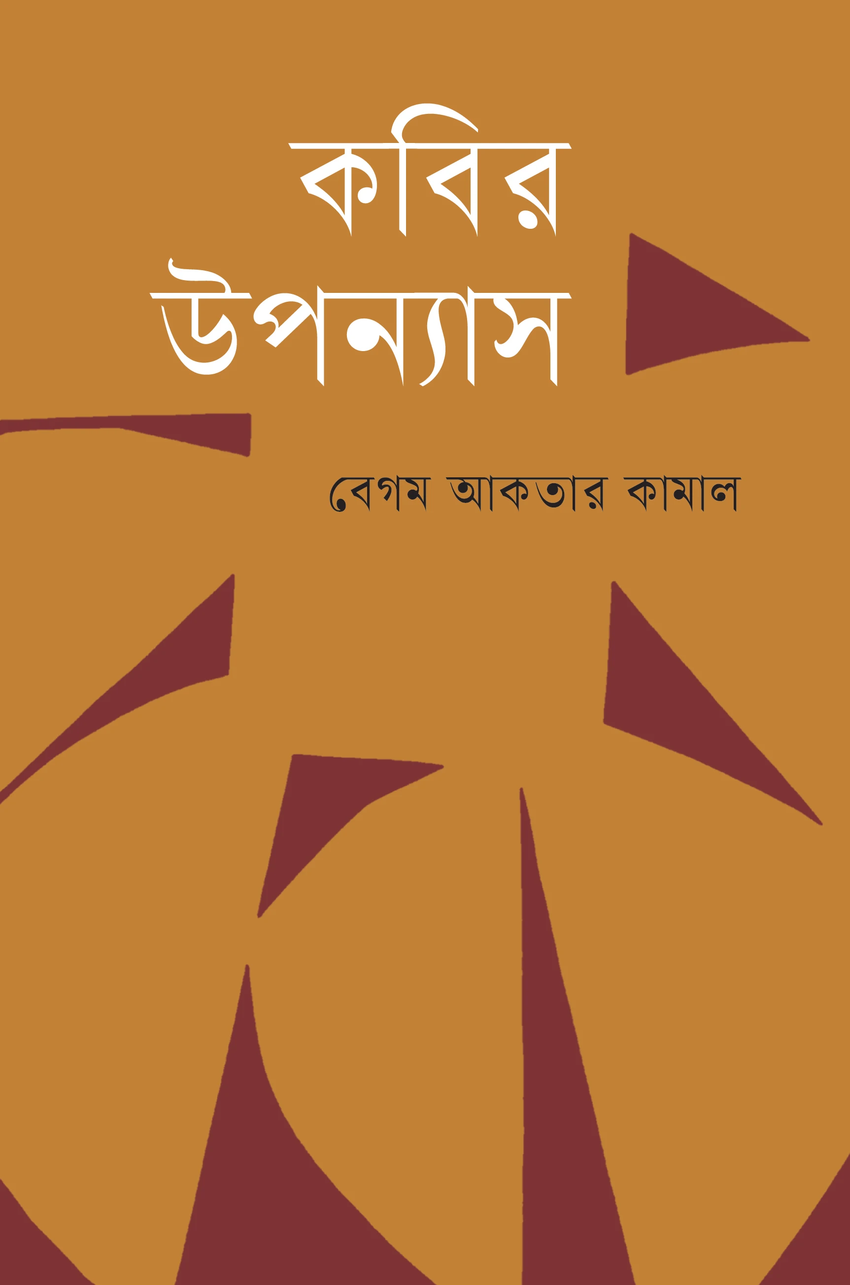 কবির উপন্যাস