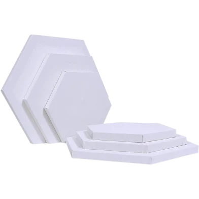 হেক্সাগন শেপ ক্যানভাস12 x 12 ইঞ্চি