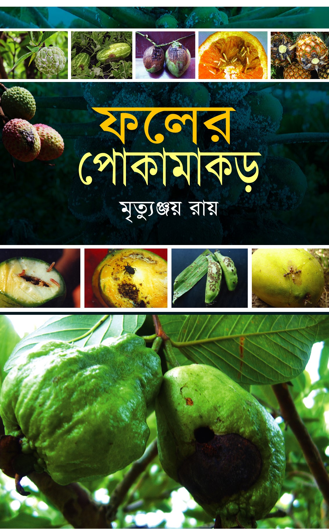 ফলের পোকামাকড়