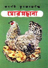 মোরগছানা
