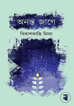 অনন্ত জাগে